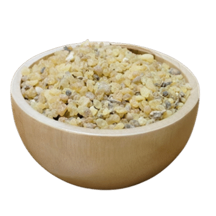 MASTIC GUM